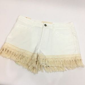 Altar'd State Fringe Festival Shorts NEW 28 7 !G